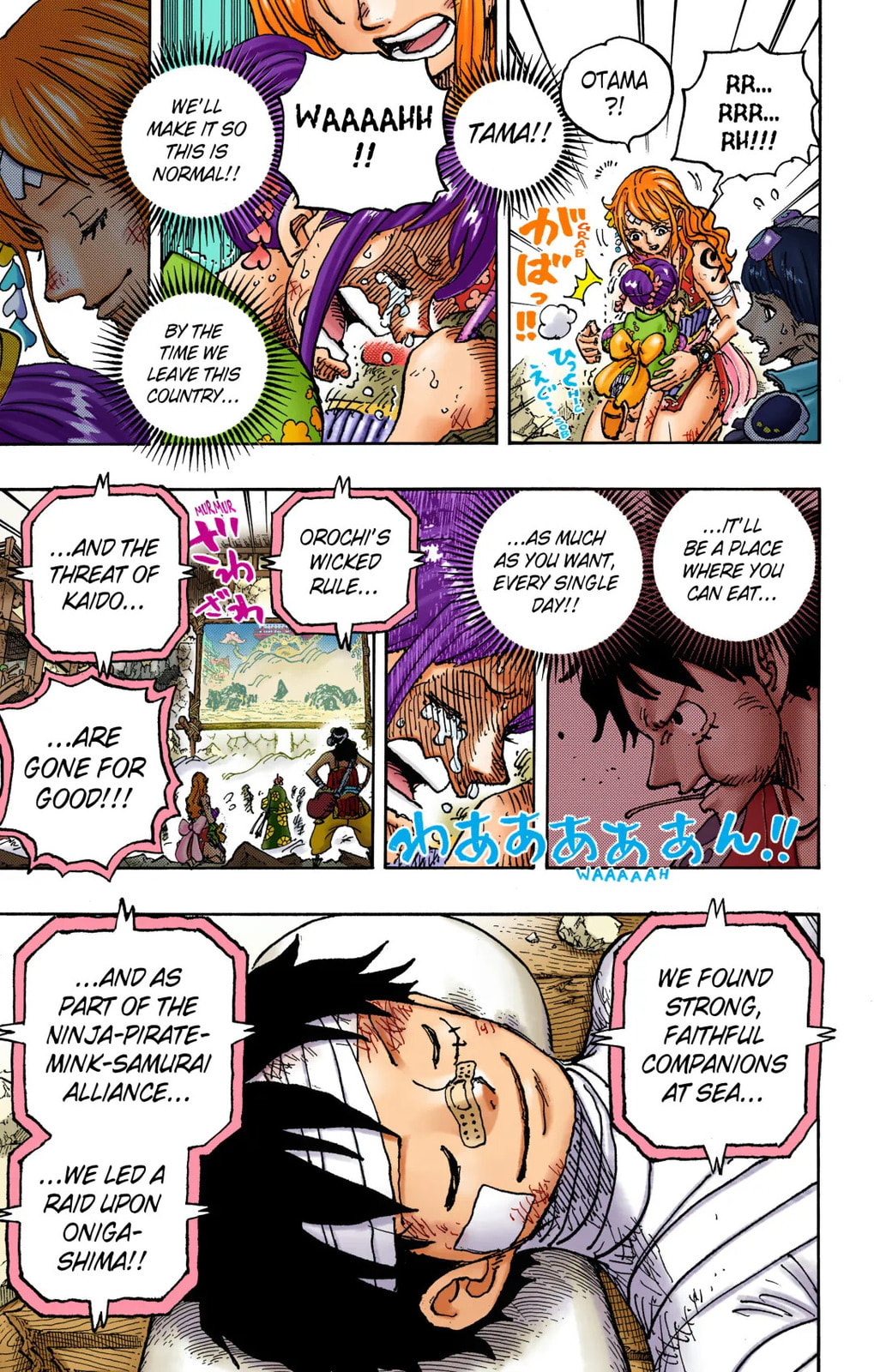 One Piece Digital Colored Chapter 1051 image 11